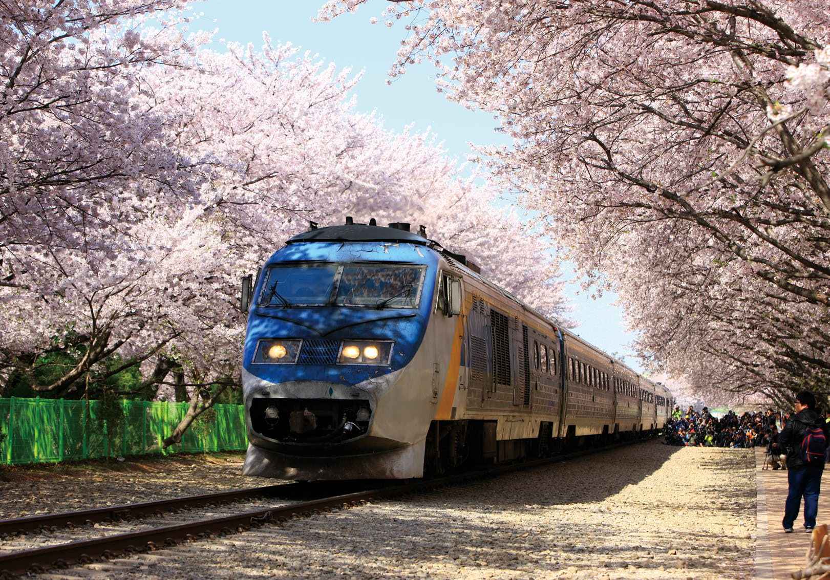 Ktx sancheon поезд. Поезда южной кореи korail. Ktx южная корея. Ktx южная корея. Поезд ктх корея.